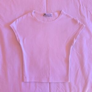 Zara crop top